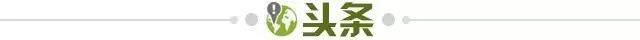 【早报】宠黑粉！内马尔退出本期国家队